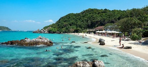 Dao Coral Thai Lan