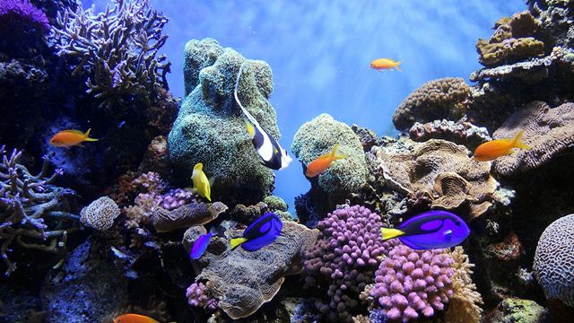 Pattaya Thái Lan – Điểm đến yêu thích của du khách Việt Nam