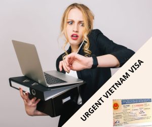 Emergency Vietnam Visa Lunar New Year 2026: Fast Processing & Tips for Travelers